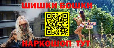 шишки Будённовск