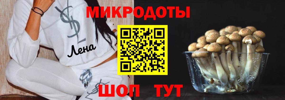 Галлюциногенные грибы мухоморы Кропоткин